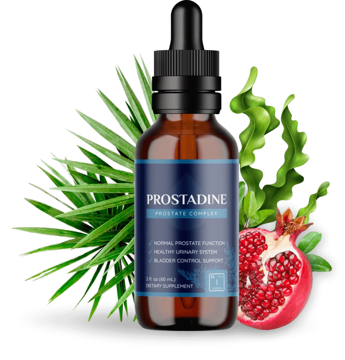 Introducing Prostadine: A Comprehensive Guide to Prostate Health